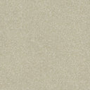 Stainfree Twist Carpet