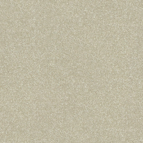 Stainfree Twist Carpet