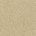 Royal Charter Deluxe Carpet