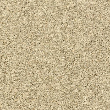 Royal Charter Deluxe Carpet