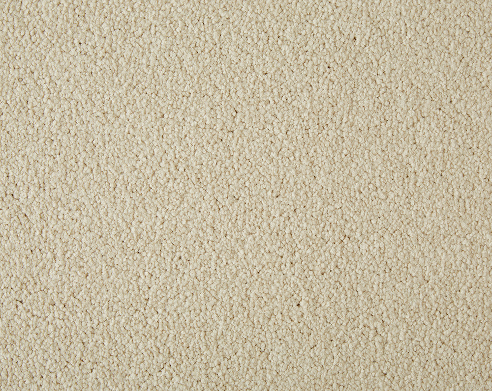 Primo Plus Carpet