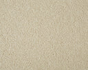 Primo Plus Carpet