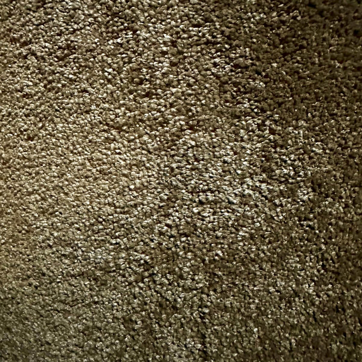Enver 9974 Chestnut (4.70m x 4.00m) M013544