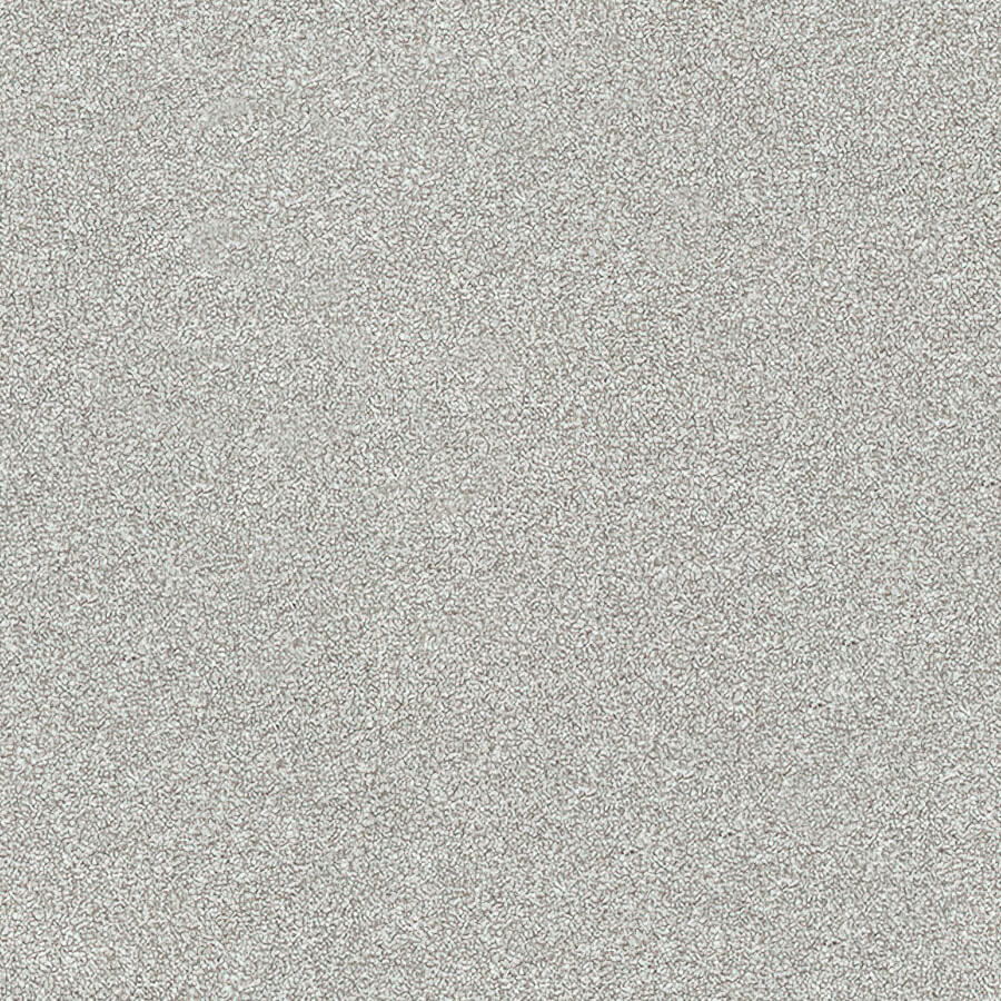 Stainfree Twist Carpet