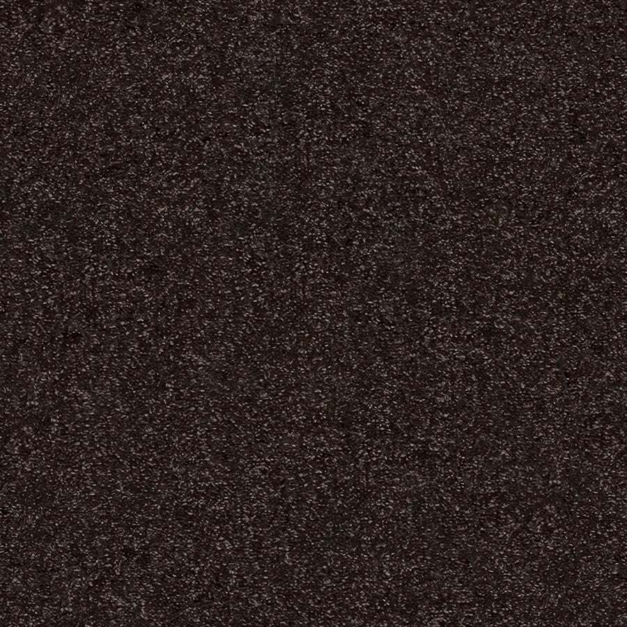 Caress Carpet