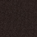 Caress Carpet