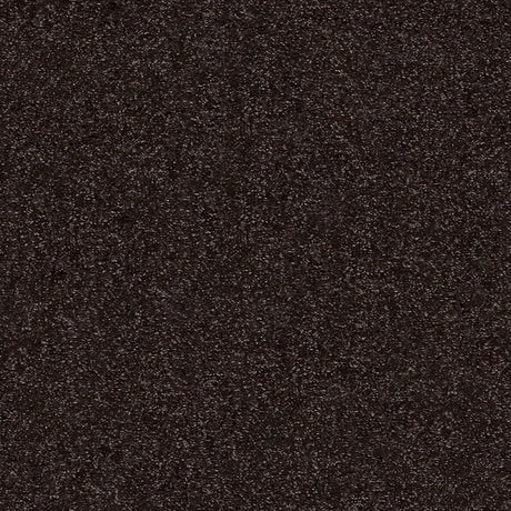 Caress Carpet
