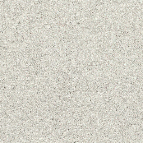 Caress Carpet