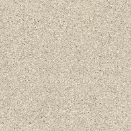 Caress Carpet
