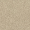 Finesse Twist Carpet
