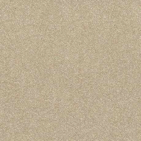 Caress Carpet