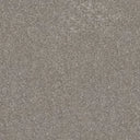 Caress Carpet