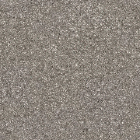 Caress Carpet