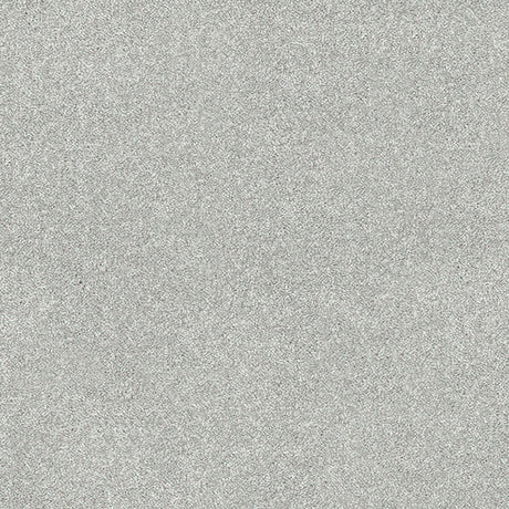 Caress Carpet
