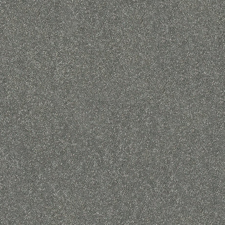 Caress Carpet