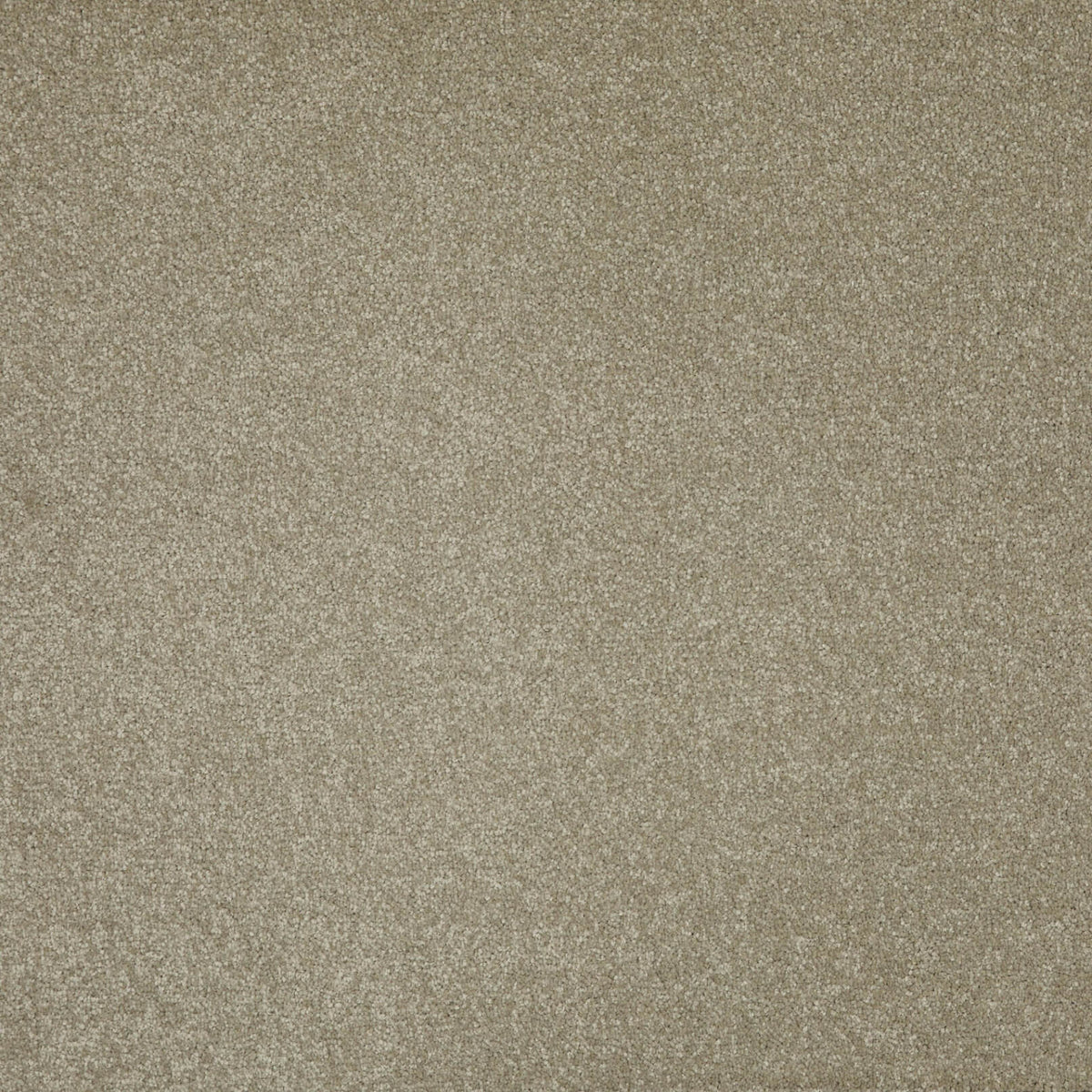 Forest Twist 64 (4.50m x 4.00m) M017874