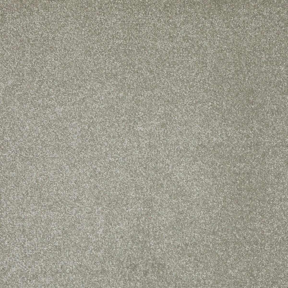 Forest Twist 76 (4.55m x 4.00m) M014512