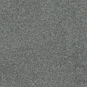 Stainfree Twist Carpet