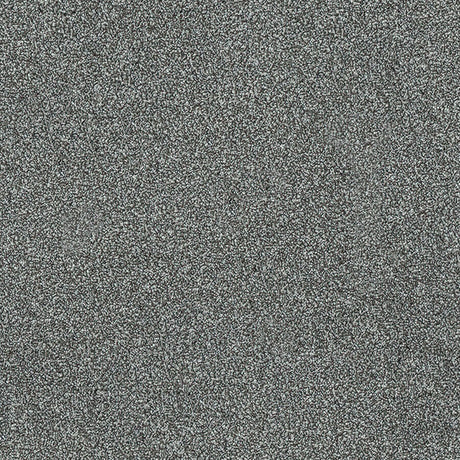 Stainfree Twist Carpet