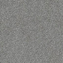 Stainfree Ultra Carpet