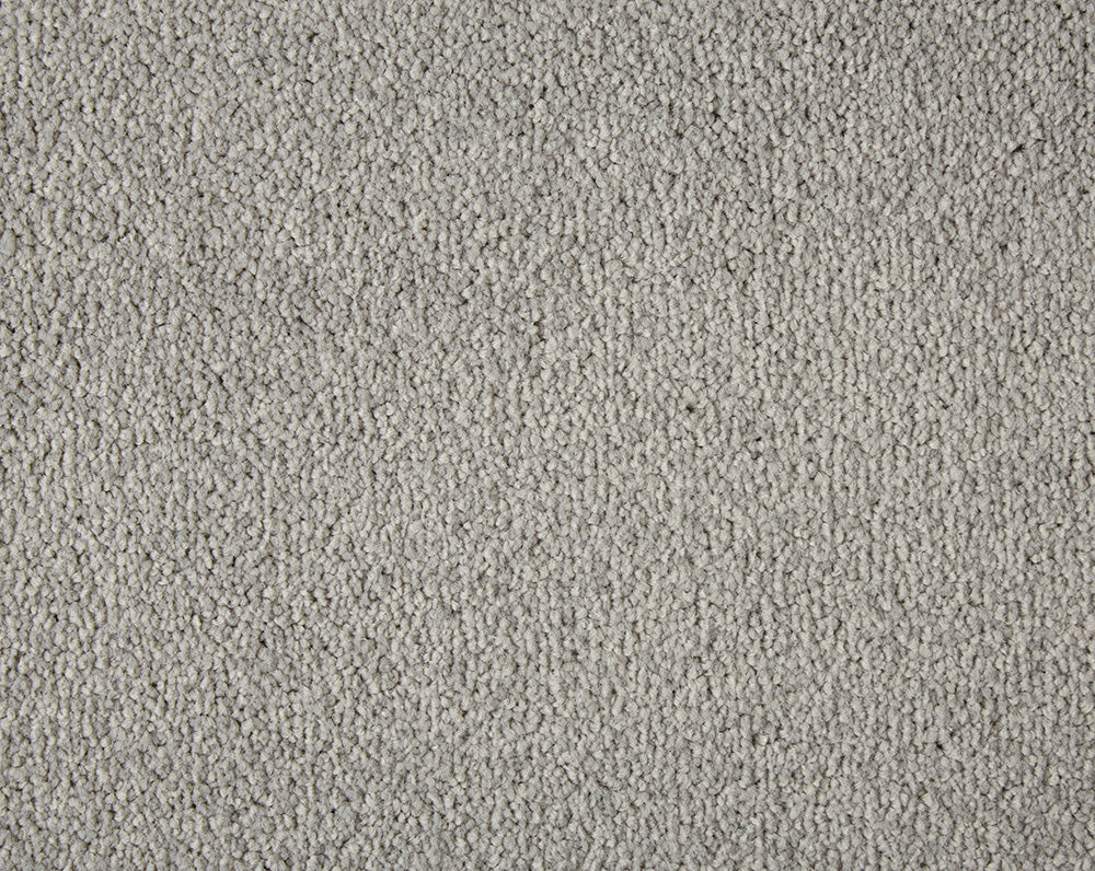 Primo Plus Carpet