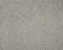 Primo Plus Carpet