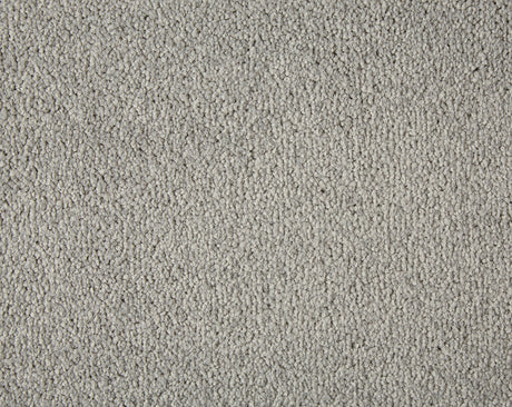Primo Plus Carpet