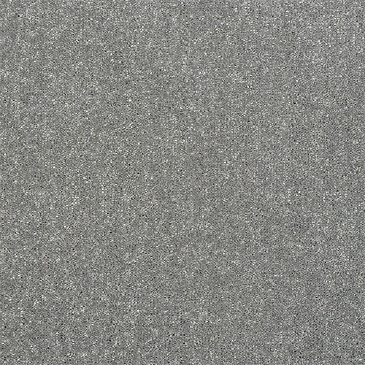 Captivation Carpet