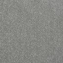 Captivation Carpet
