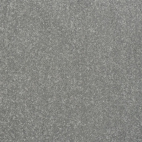 Captivation Carpet