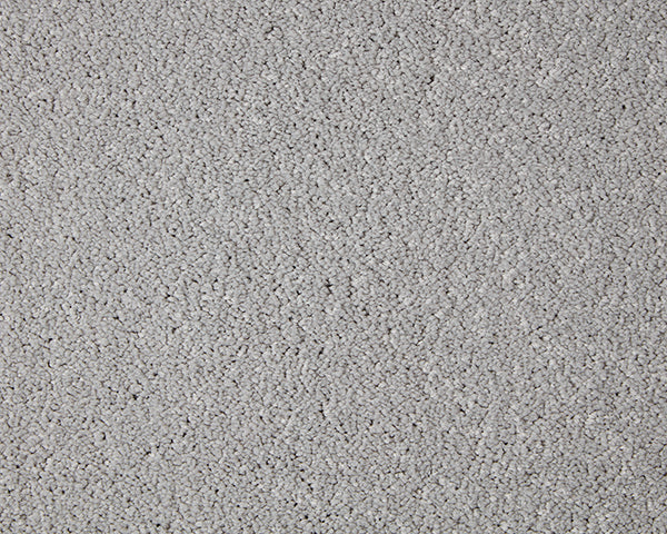 Primo Grande Carpet