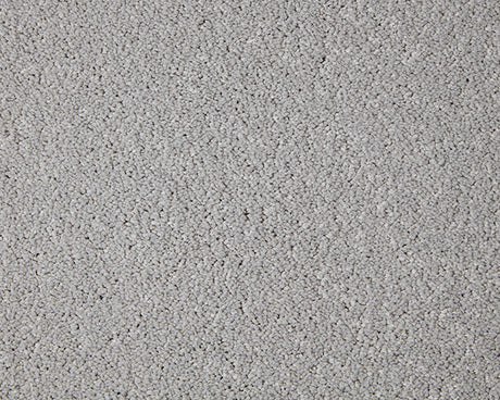 Primo Grande Carpet
