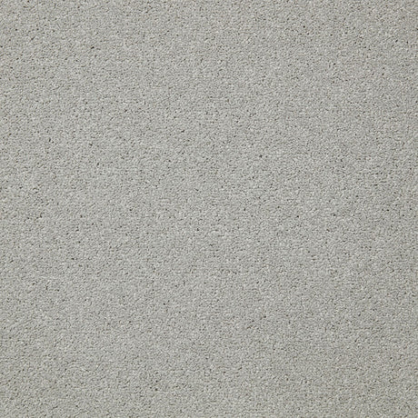 Primo Ultra Carpet