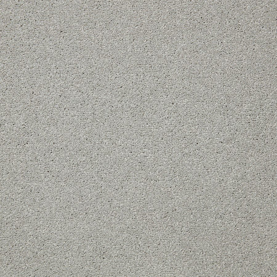 Primo Plus Carpet