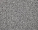 Apollo Elite Carpet