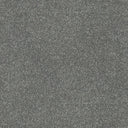 Stainfree Twist Carpet