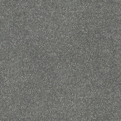 Stainfree Twist Carpet