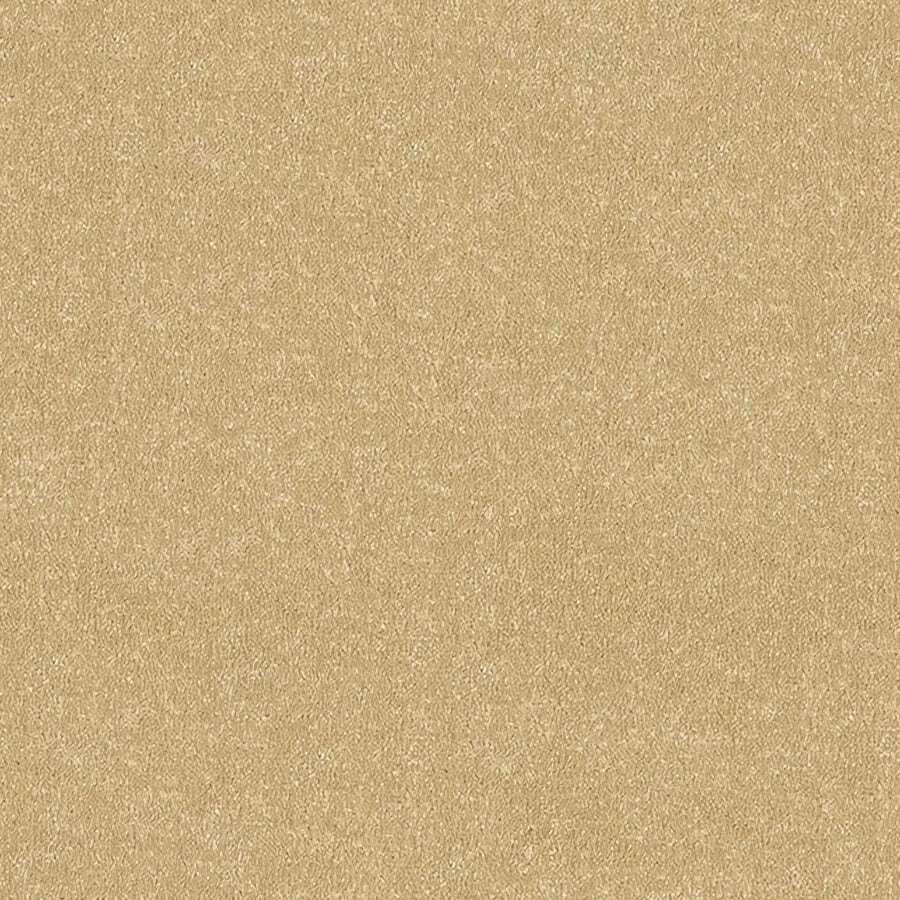 Stainfree Ultra Carpet