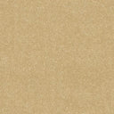 Stainfree Ultra Carpet