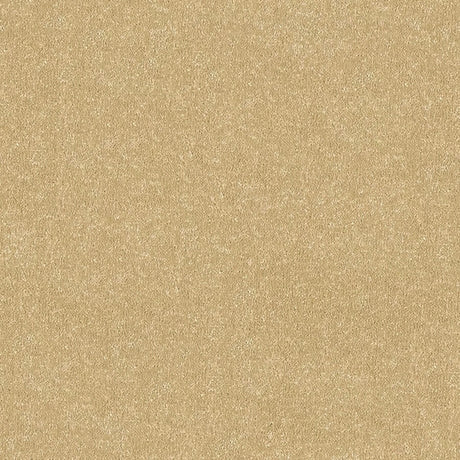 Stainfree Ultra Carpet