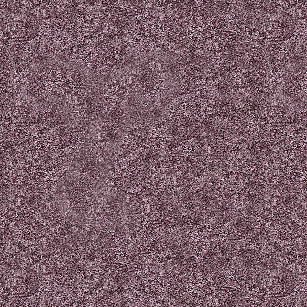 Harvard 309 Lavender (3.70m  x 5.00m)
