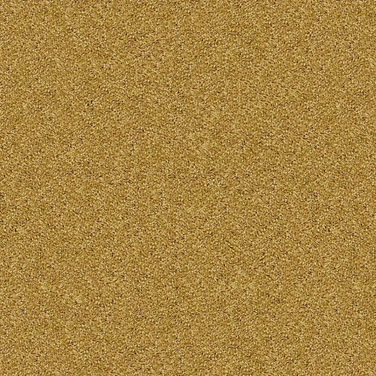 Harvard 322 Old Gold (3.70m x 4.00m)