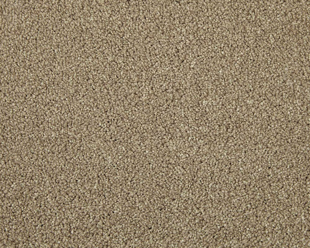 Apollo Elite Carpet