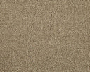 Apollo Elite Carpet