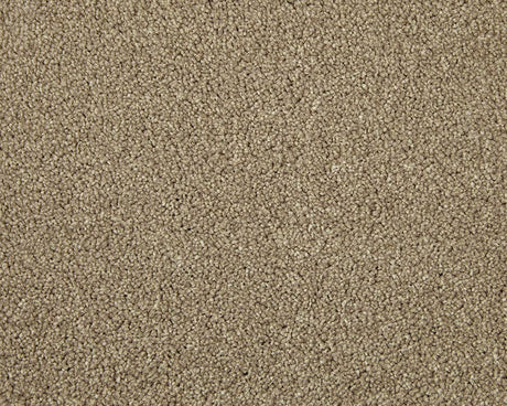Apollo Elite Carpet