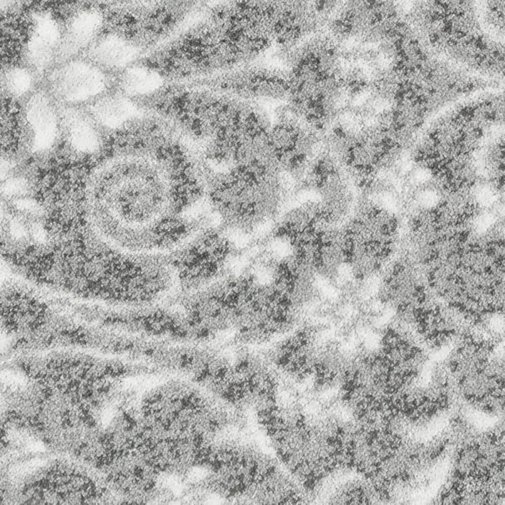 Stainfree Wilton Carpet