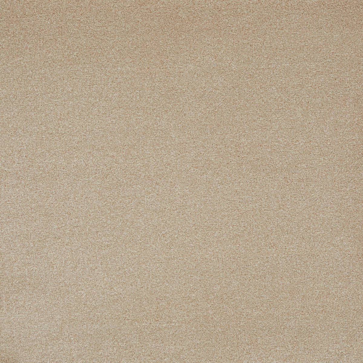 Himalaya Saxony 63 (0.90m x 5.00m) M016454