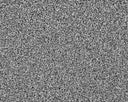 Primo Naturals Carpet
