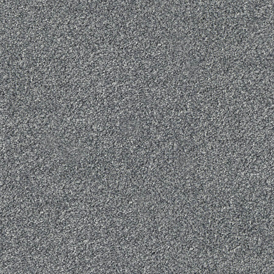 Apollo Plus Carpet