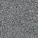 Apollo Plus Carpet